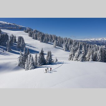 Schneeschuhwandern auf der Frauenalpe  | © STG | Tom Lamm