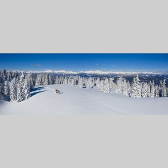 Schneeschuhwandern auf der Frauenalpe  | © STG | Tom Lamm