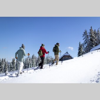 Schneeschuhwandern auf der Frauenalpe | © STG | Tom Lamm