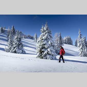 Schneeschuhwandern auf der Frauenalpe | © STG | Tom Lamm