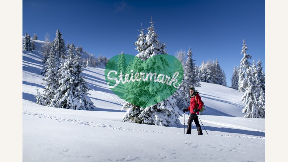 Schneeschuhwandern auf der Frauenalpe | © STG | Tom Lamm