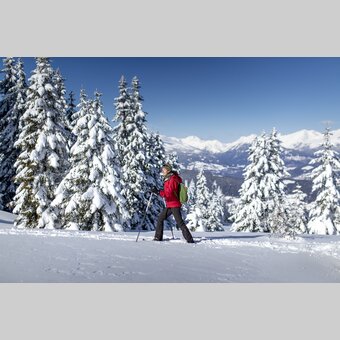 Schneeschuhwandern auf der Frauenalpe | © STG | Tom Lamm