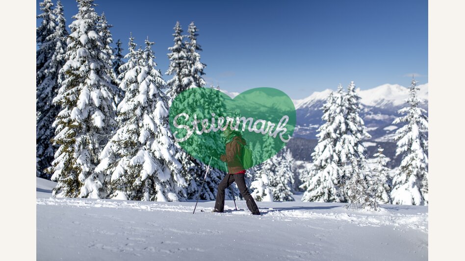 Schneeschuhwandern auf der Frauenalpe | © STG | Tom Lamm