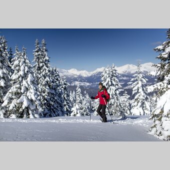 Schneeschuhwandern auf der Frauenalpe | © STG | Tom Lamm