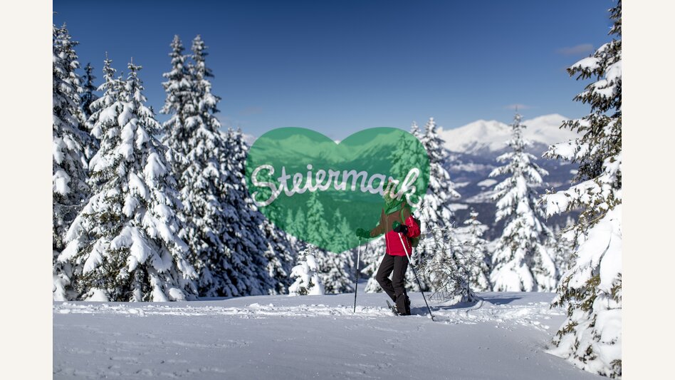 Schneeschuhwandern auf der Frauenalpe | © STG | Tom Lamm