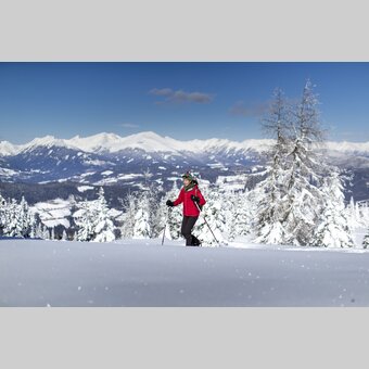 Schneeschuhwandern auf der Frauenalpe | © STG | Tom Lamm