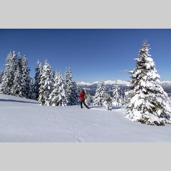 Schneeschuhwandern auf der Frauenalpe | © STG | Tom Lamm