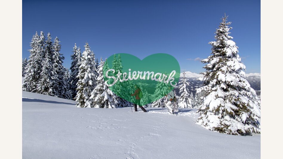 Schneeschuhwandern auf der Frauenalpe | © STG | Tom Lamm