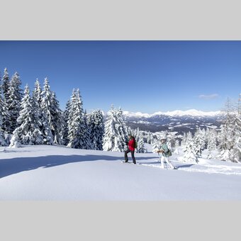 Schneeschuhwandern auf der Frauenalpe | © STG | Tom Lamm