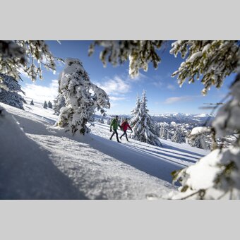 Spazieren gehen auf der Frauenalpe | © STG | Tom Lamm