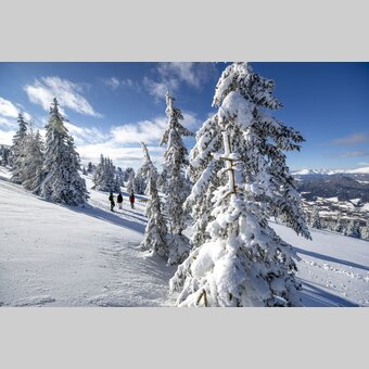 Spazieren gehen auf der Frauenalpe | © STG | Tom Lamm