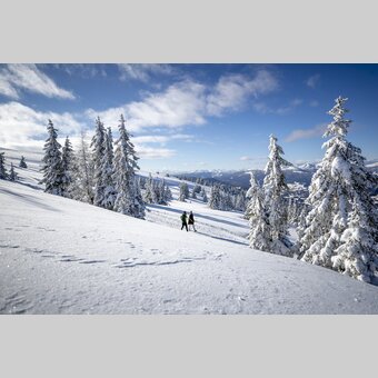 Spazieren gehen auf der Frauenalpe | © STG | Tom Lamm
