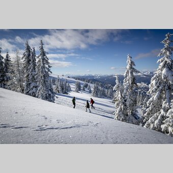 Spazieren gehen auf der Frauenalpe | © STG | Tom Lamm
