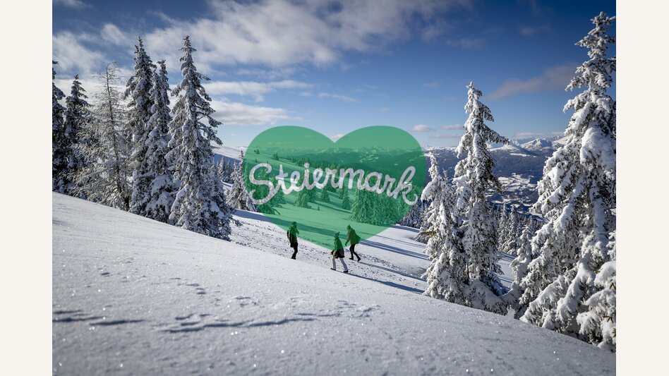 Spazieren gehen auf der Frauenalpe | © STG | Tom Lamm