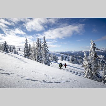 Spazieren gehen auf der Frauenalpe | © STG | Tom Lamm