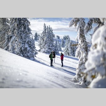Spazieren gehen auf der Frauenalpe | © STG | Tom Lamm