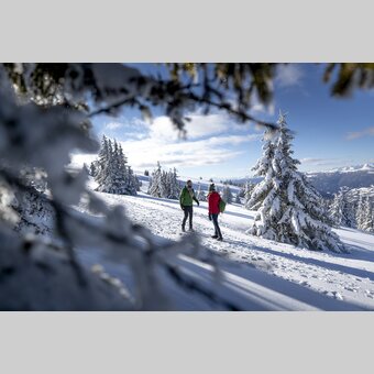 Spazieren gehen auf der Frauenalpe | © STG | Tom Lamm