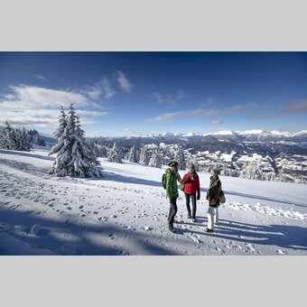 Spazieren gehen auf der Frauenalpe | © STG | Tom Lamm