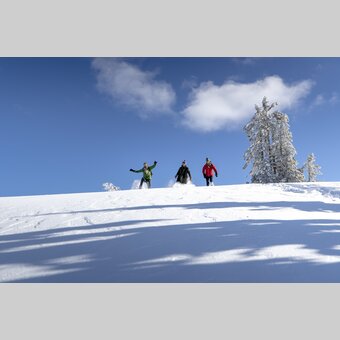 "Tiefschnee gehen" | © STG | Tom Lamm