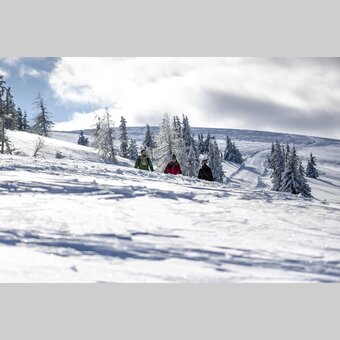 Spazieren gehen auf der Frauenalpe | © STG | Tom Lamm