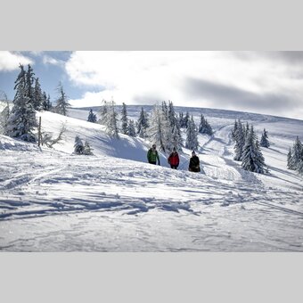 Spazieren gehen auf der Frauenalpe | © STG | Tom Lamm