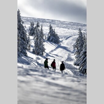 Spazieren gehen auf der Frauenalpe | © STG | Tom Lamm