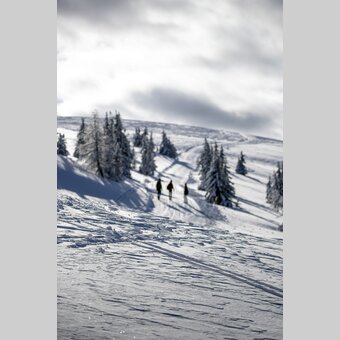 Spazieren gehen auf der Frauenalpe | © STG | Tom Lamm