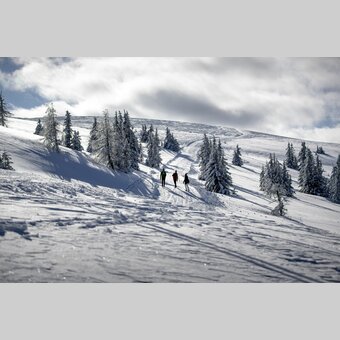 Spazieren gehen auf der Frauenalpe | © STG | Tom Lamm