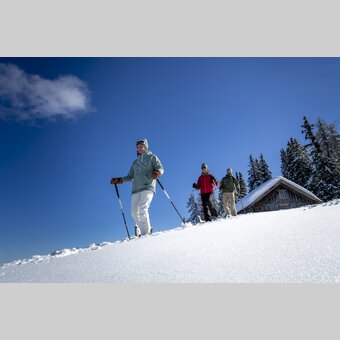 Schneeschuhwandern auf der Frauenalpe | © STG | Tom Lamm