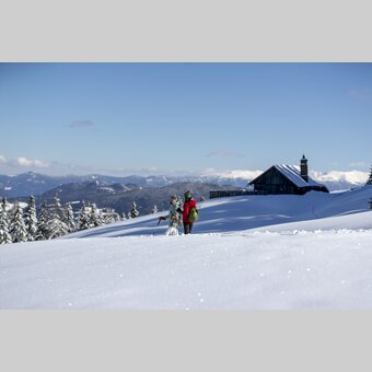 Schneeschuhwandern auf der Frauenalpe | © STG | Tom Lamm