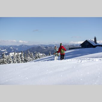 Schneeschuhwandern auf der Frauenalpe  | © STG | Tom Lamm
