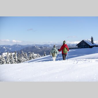 Schneeschuhwandern auf der Frauenaple | © STG | Tom Lamm