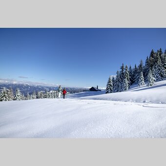 Schneeschuhwandern auf der Frauenalpe | © STG | Tom Lamm