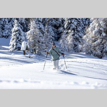 Schneeschuhwandern auf der Frauenalpe | © STG | Tom Lamm