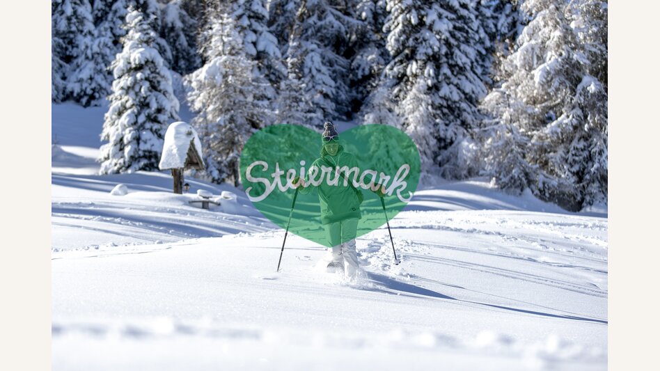 Schneeschuhwandern auf der Frauenalpe | © STG | Tom Lamm