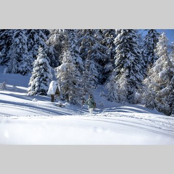 Schneeschuhwandern auf der Frauenalpe | © STG | Tom Lamm