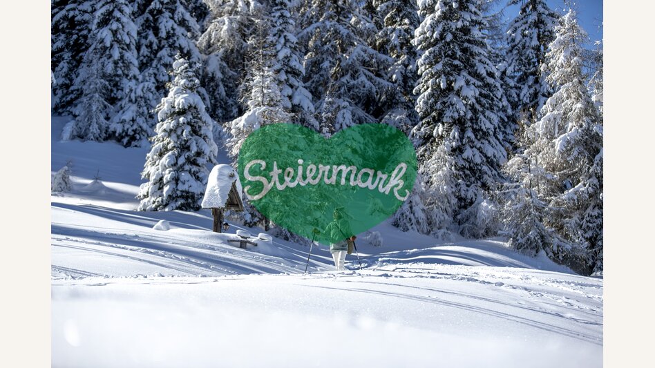 Schneeschuhwandern auf der Frauenalpe | © STG | Tom Lamm