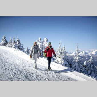 Spazieren gehen auf der Frauenalpe | © STG | Tom Lamm