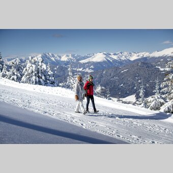 Spazieren gehen auf der Frauenalpe | © STG | Tom Lamm