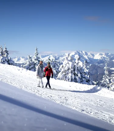 Walking on the Frauenalpe | © Steiermark Tourismus | Tom Lamm
