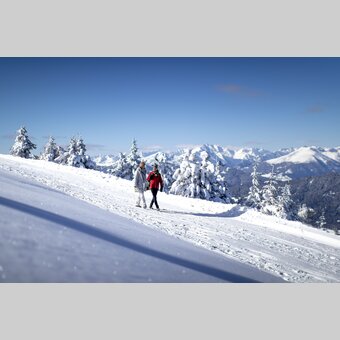 Spazieren gehen auf der Frauenalpe | © STG | Tom Lamm