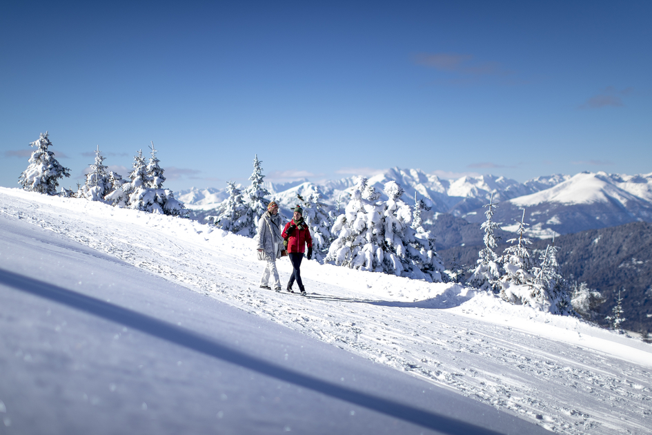 Spazieren gehen auf der Frauenalpe | © STG | Tom Lamm