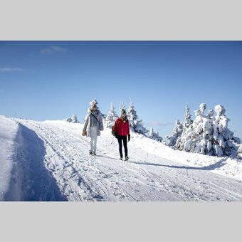 Spazieren gehen auf der Frauenalpe | © STG | Tom Lamm