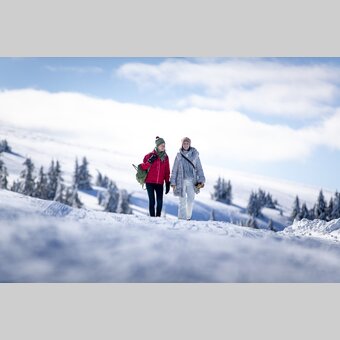 Spazieren gehen auf der Frauenalpe | © STG | Tom Lamm