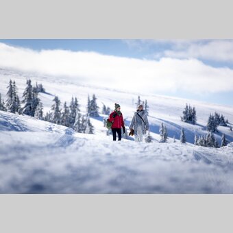 Spazieren gehen auf der Frauenalpe | © STG | Tom Lamm