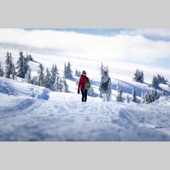 Spazieren gehen auf der Frauenalpe | © STG | Tom Lamm