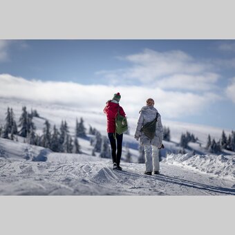 Spazieren gehen auf der Frauenalpe | © STG | Tom Lamm
