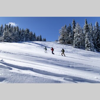 Schneeschuhwandern auf der Frauenalpe | © STG | Tom Lamm
