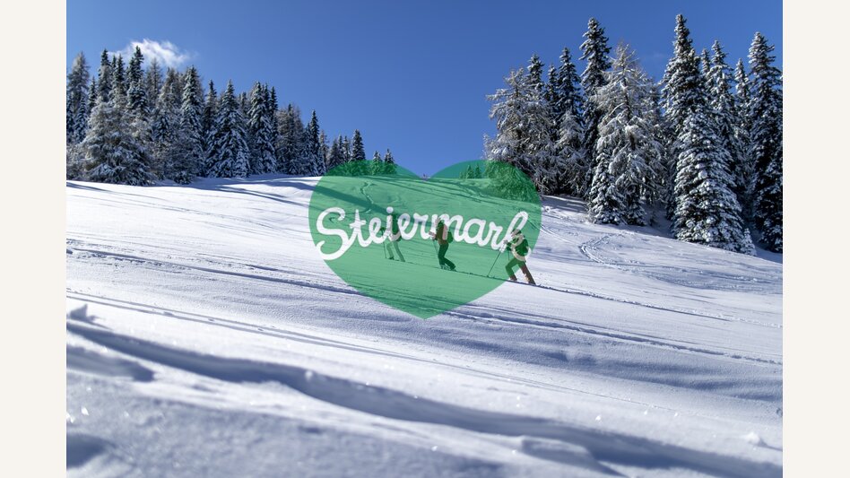 Schneeschuhwandern auf der Frauenalpe | © STG | Tom Lamm