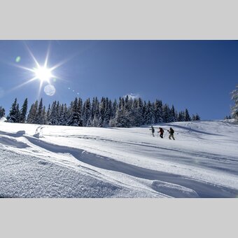Schneeschuhwandern auf der Frauenalpe | © STG | Tom Lamm